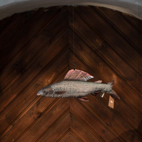 Stuffed Grayling Toy - Image 2