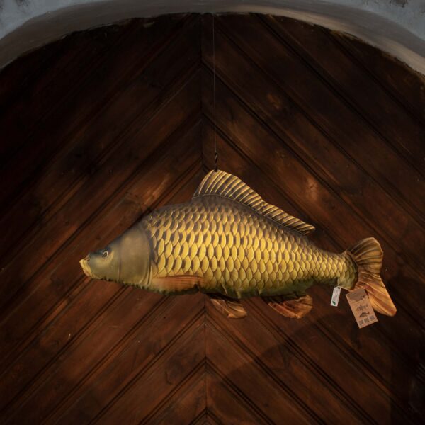 Soft Toy “Carp” - Image 2