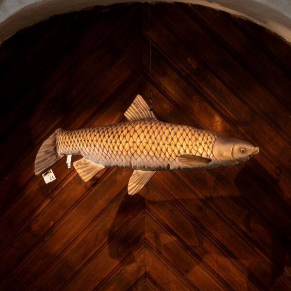 Large Plush Toy The Giant Grass Carp