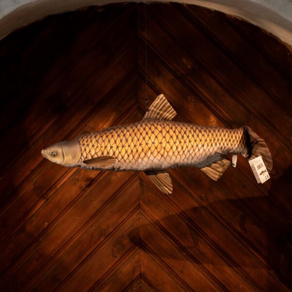 Large Plush Toy The Giant Grass Carp - Image 2